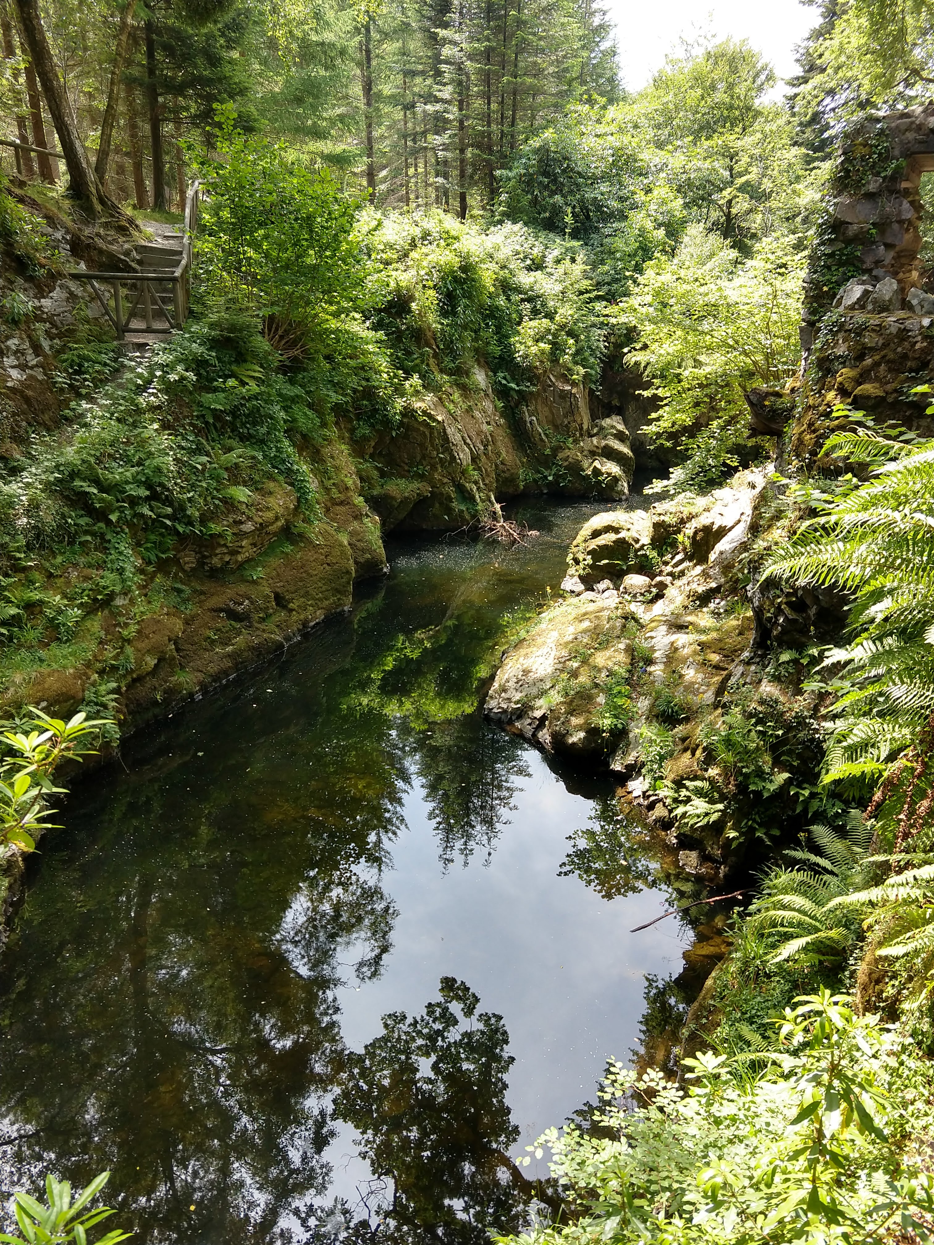 Tollymore Forest Park - MidLifeTravelPro